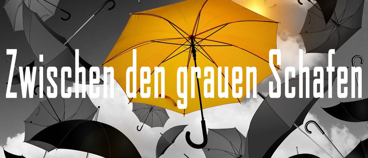 Zwischen den grauen Schafen Banner Davi Media Webdesign Ahaus